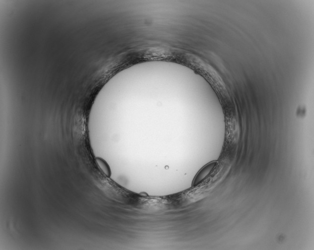 X0000103480621200810031544