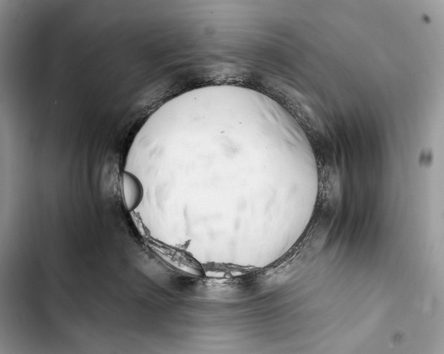 X0000103480622200810031544