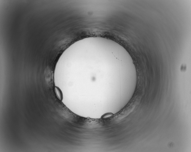 X0000103480624200810031544