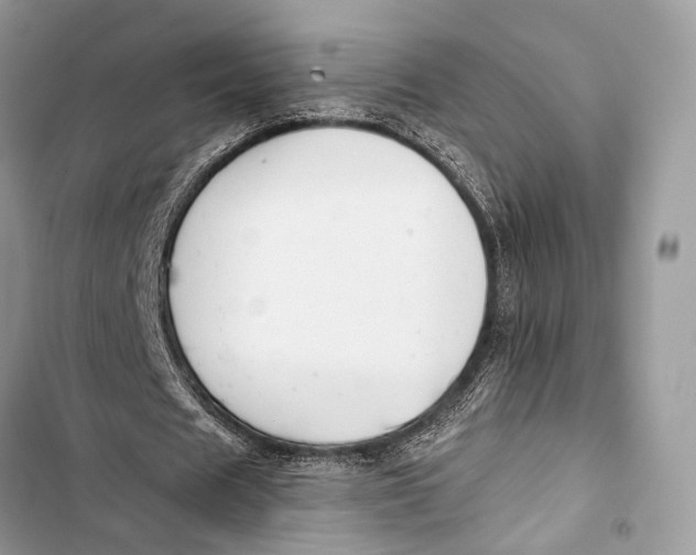 X0000103480625200810031543