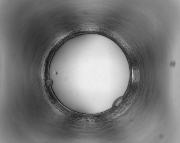 X0000103480627200810031543