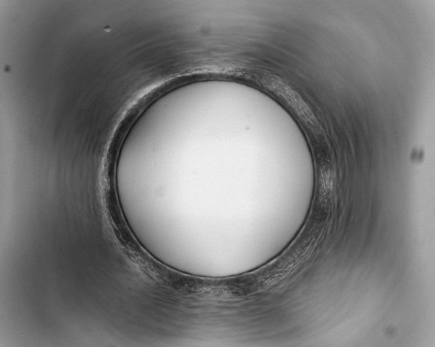 X0000103480628200810031543