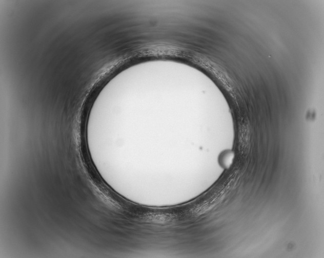 X0000103480629200810031543