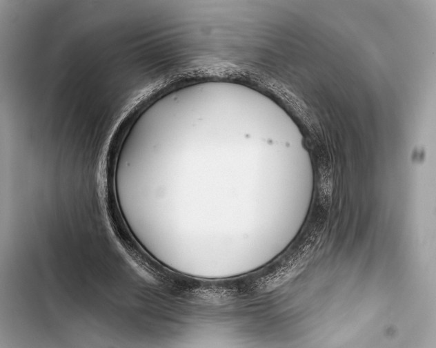 X0000103480630200810031543