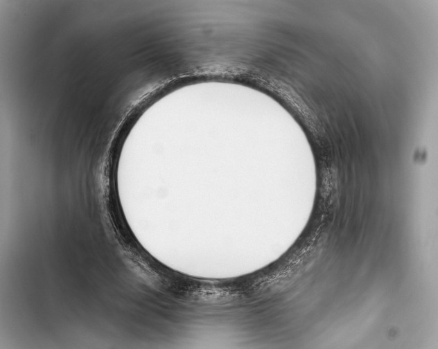 X0000103480632200810031543