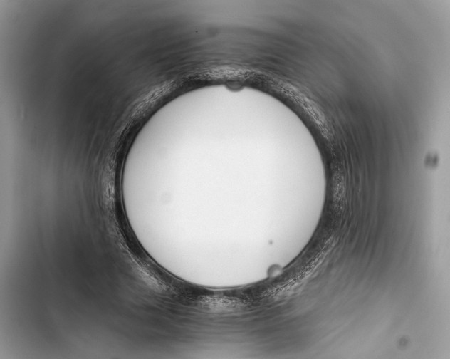 X0000103480633200810031543