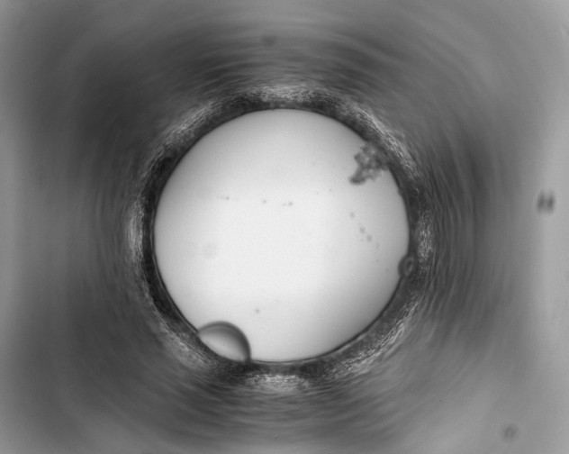 X0000103480637200810031543