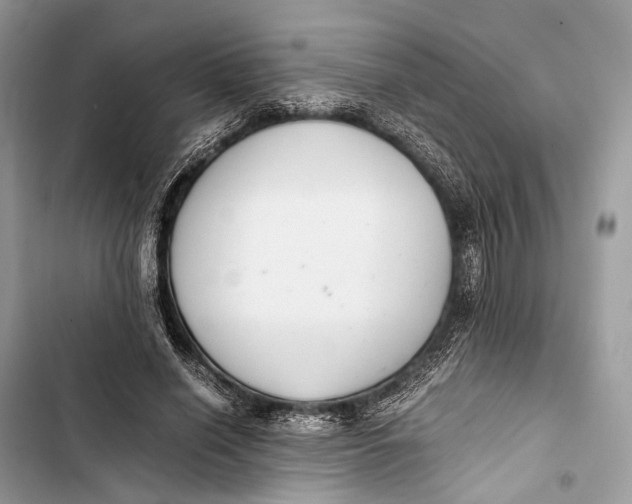 X0000103480638200810031543