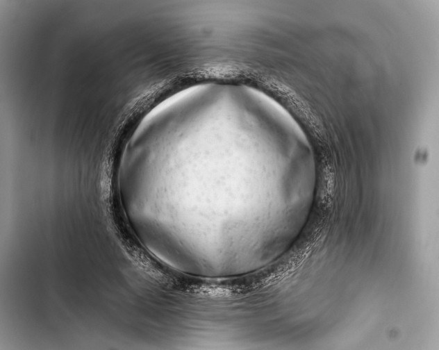 X0000103480640200810031543