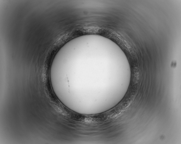 X0000103480641200810031543