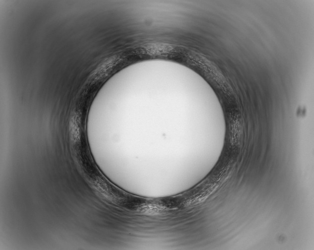 X0000103480644200810031544