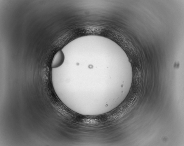 X0000103480649200810031544