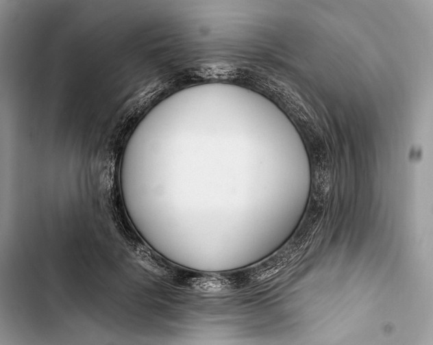 X0000103480652200810031544