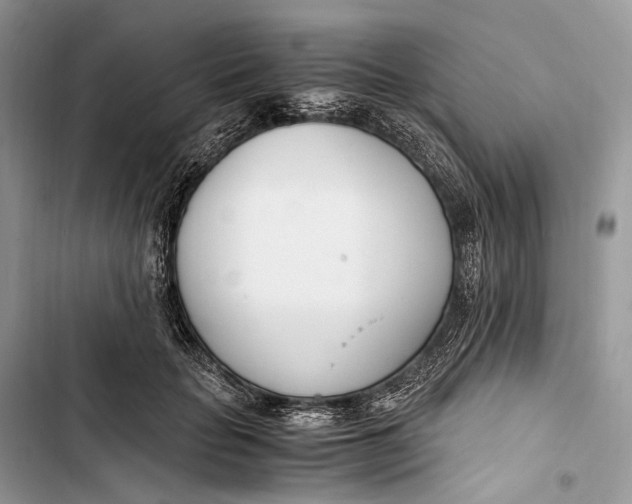 X0000103480653200810031544