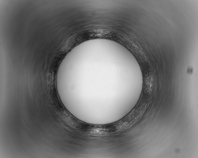 X0000103480657200810031544