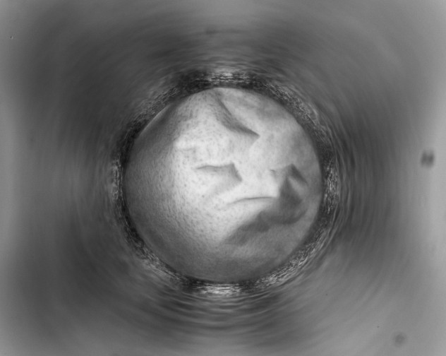 X0000103480659200810031544