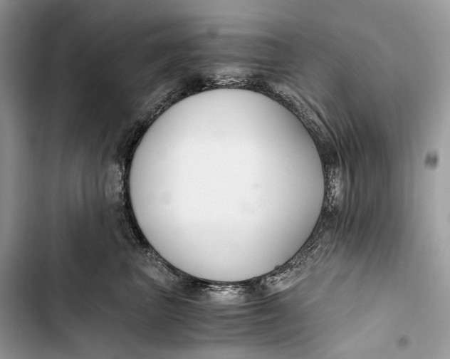 X0000103480667200810031544