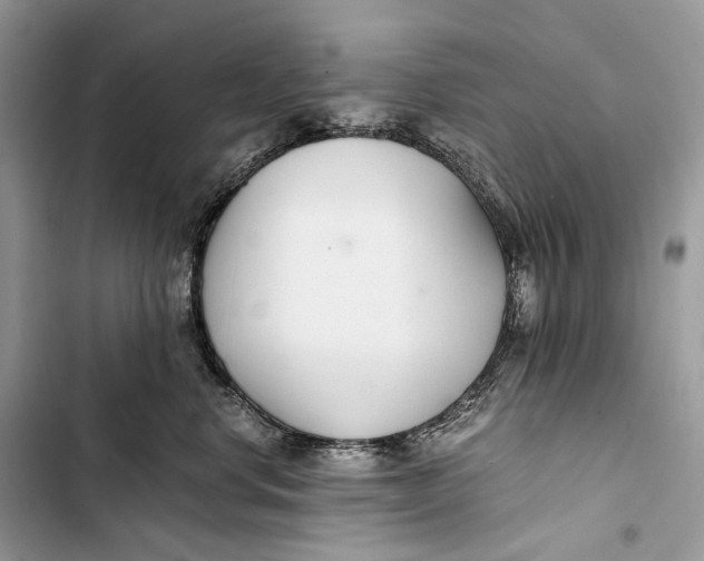 X0000103480668200810031544