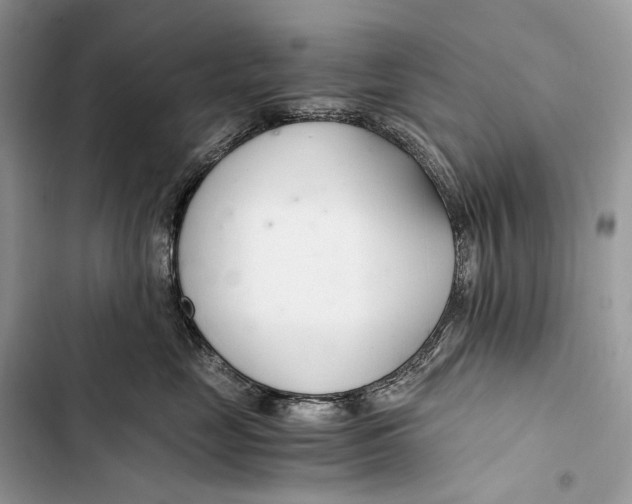 X0000103480669200810031544