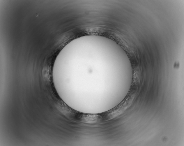 X0000103480671200810031544