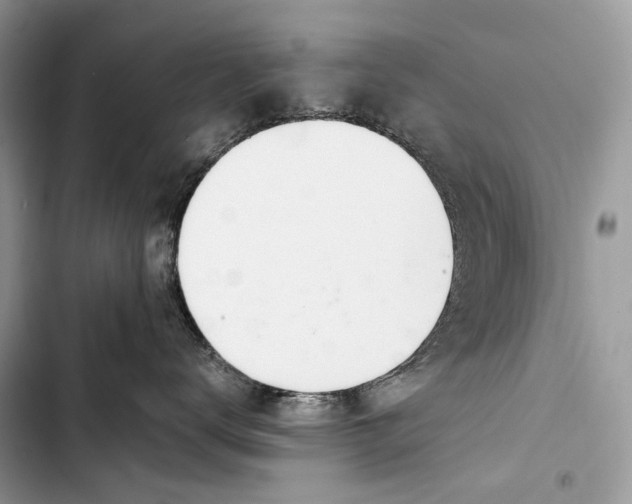 X0000103480672200810031544