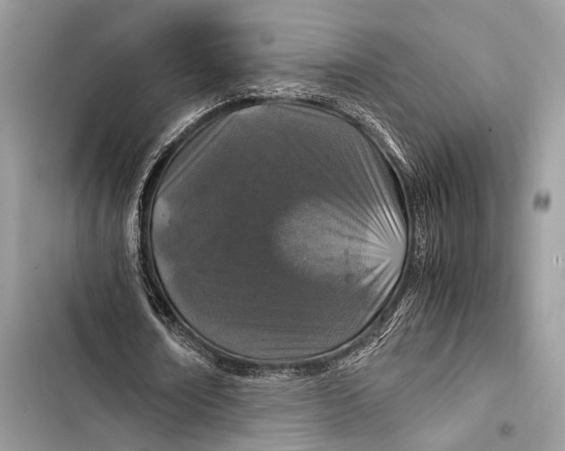 X0000103480674200810031543