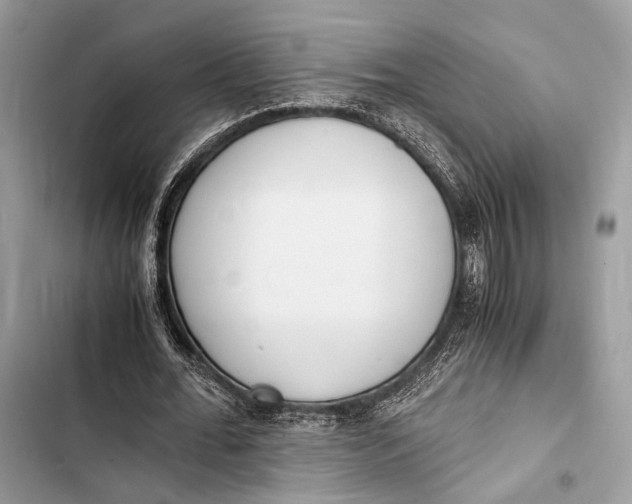 X0000103480676200810031543