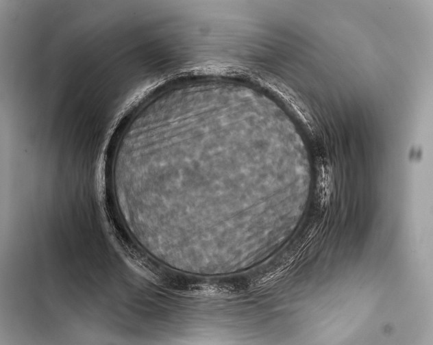 X0000103480678200810031543