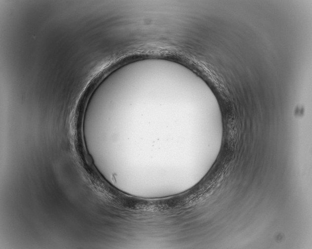 X0000103480679200810031543