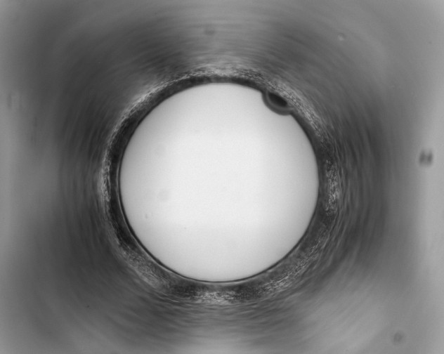 X0000103480680200810031543