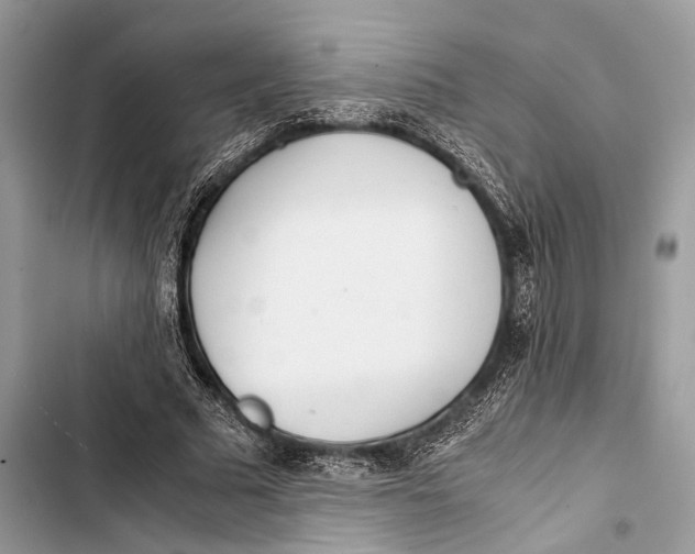 X0000103480681200810031543