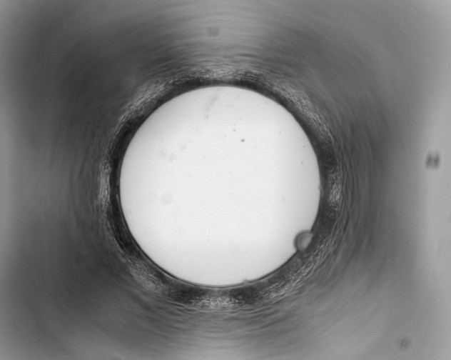 X0000103480685200810031543