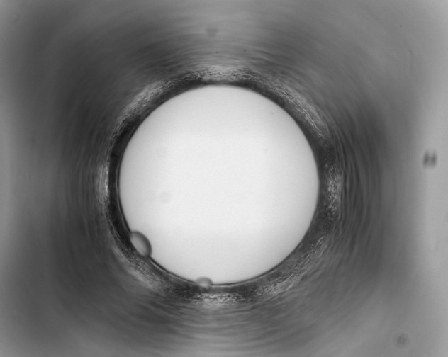 X0000103480686200810031543