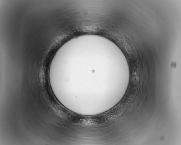 X0000103480688200810031543