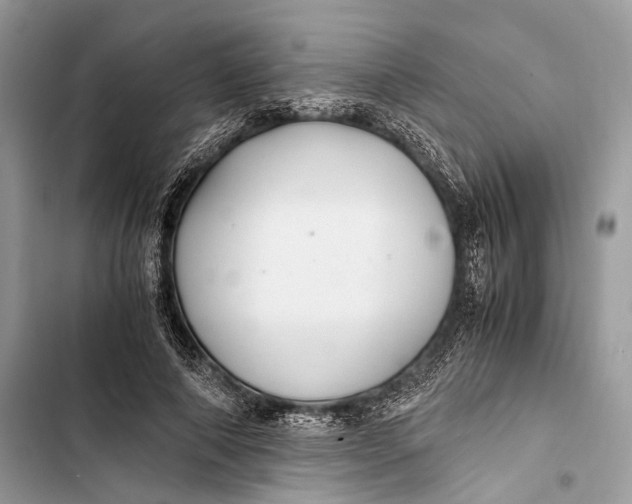 X0000103480690200810031543