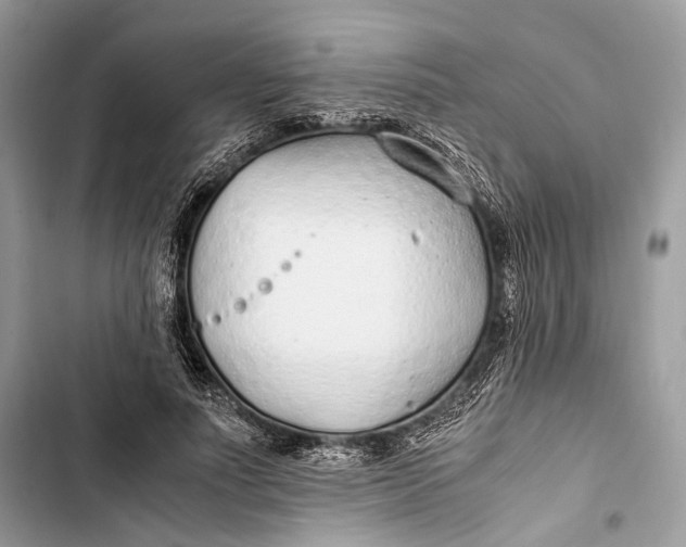 X0000103480691200810031543