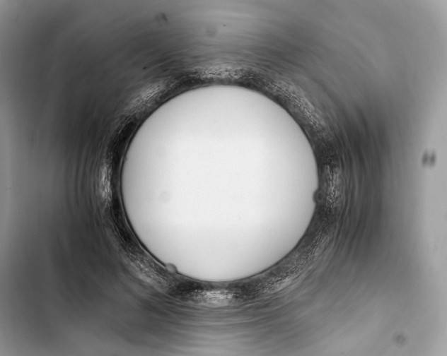 X0000103480692200810031543