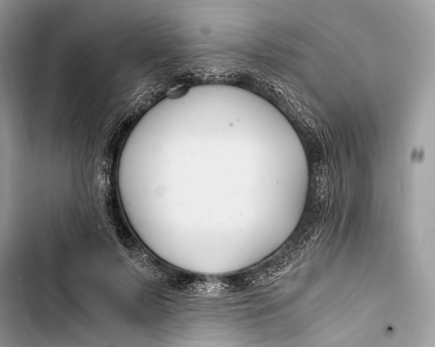 X0000103480695200810031543