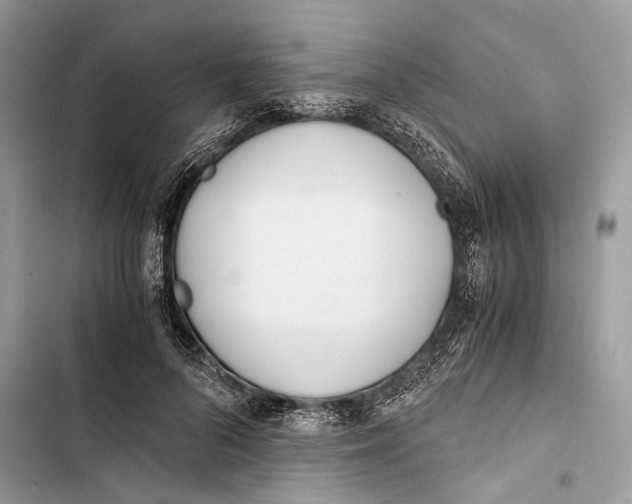 X0000103480696200810031543