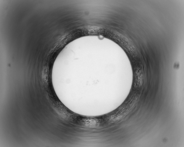 X0000103480698200810031543