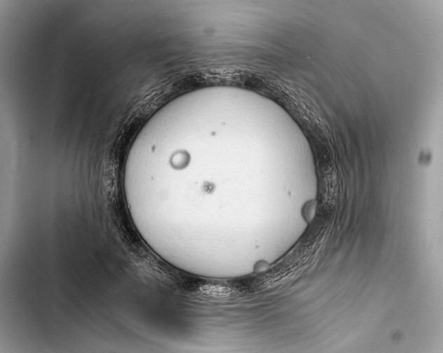 X0000103480699200810031543