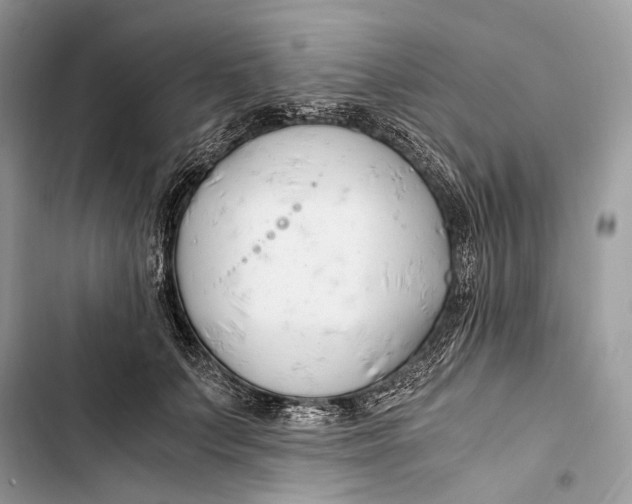 X0000103480703200810031543