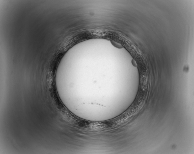 X0000103480707200810031543