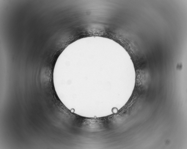 X0000103480713200810031543