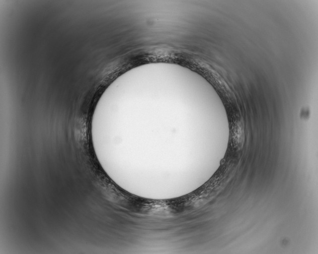 X0000103480715200810031543