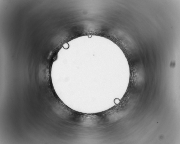 X0000103480716200810031543