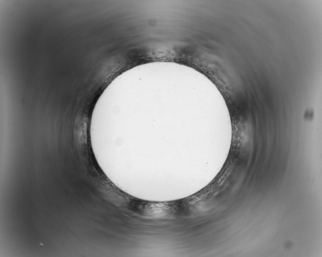 X0000103480717200810031543