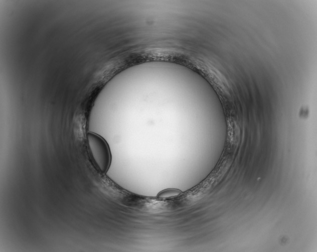 X0000103480718200810031543