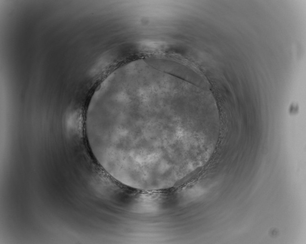 X0000103480720200810031543