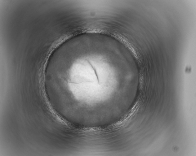 X0000103480721200810031542